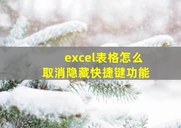 excel表格怎么取消隐藏快捷键功能