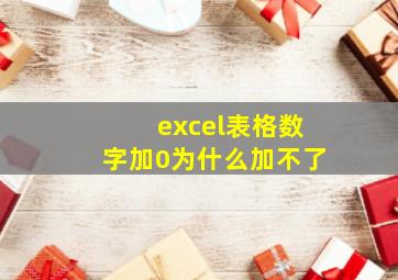 excel表格数字加0为什么加不了