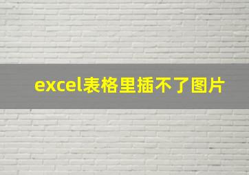 excel表格里插不了图片