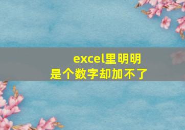 excel里明明是个数字却加不了