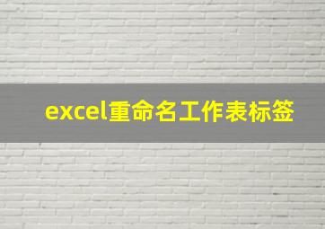 excel重命名工作表标签