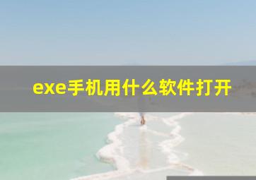 exe手机用什么软件打开