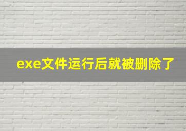 exe文件运行后就被删除了