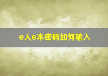 e人e本密码如何输入