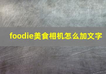 foodie美食相机怎么加文字