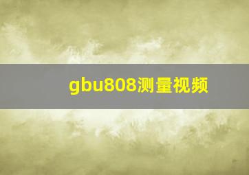 gbu808测量视频