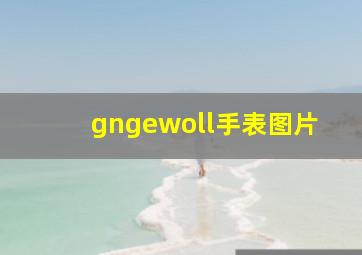 gngewoll手表图片