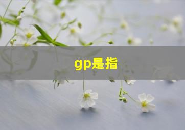 gp是指