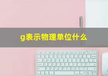 g表示物理单位什么