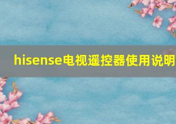 hisense电视遥控器使用说明