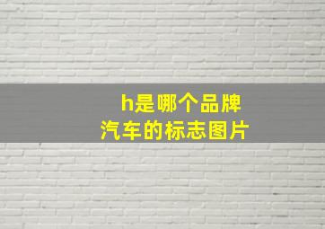 h是哪个品牌汽车的标志图片