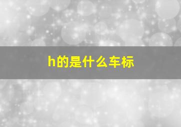 h的是什么车标