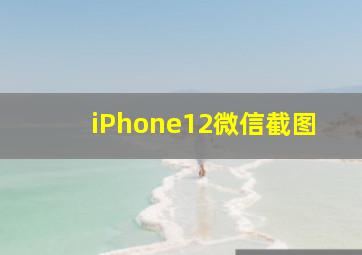 iPhone12微信截图