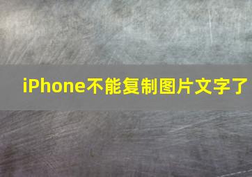 iPhone不能复制图片文字了