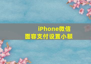 iPhone微信面容支付设置小额