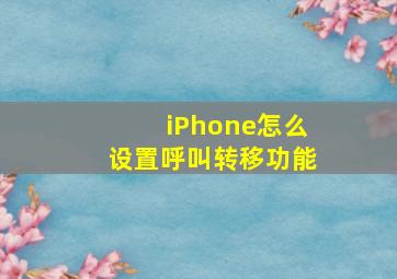 iPhone怎么设置呼叫转移功能