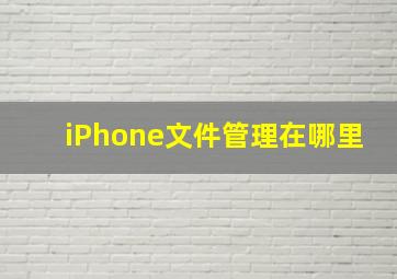 iPhone文件管理在哪里