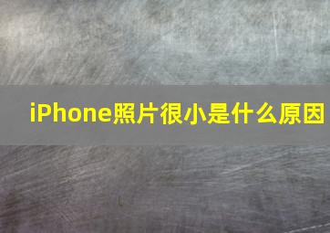 iPhone照片很小是什么原因