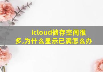 icloud储存空间很多,为什么显示已满怎么办