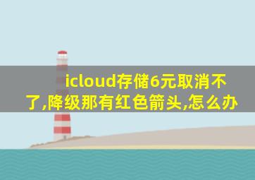 icloud存储6元取消不了,降级那有红色箭头,怎么办