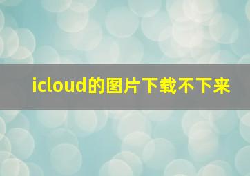 icloud的图片下载不下来