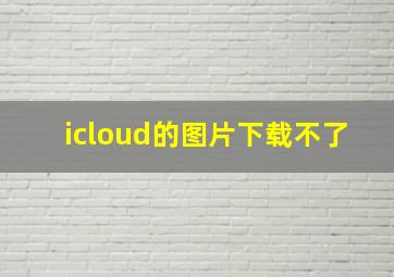 icloud的图片下载不了