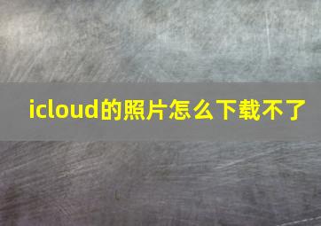 icloud的照片怎么下载不了