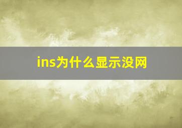 ins为什么显示没网