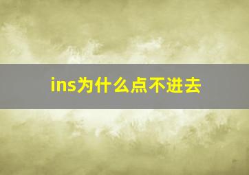 ins为什么点不进去