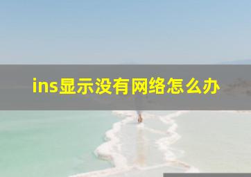 ins显示没有网络怎么办