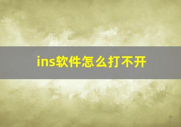 ins软件怎么打不开