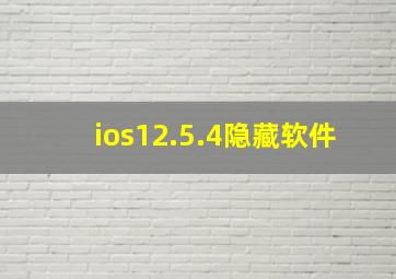 ios12.5.4隐藏软件