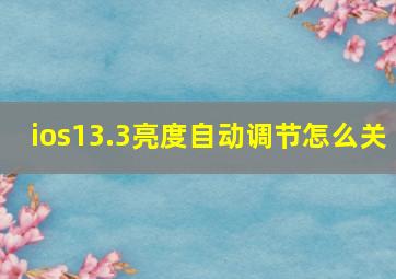 ios13.3亮度自动调节怎么关