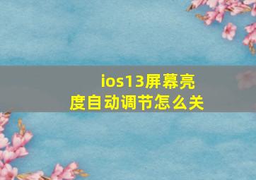 ios13屏幕亮度自动调节怎么关