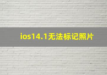 ios14.1无法标记照片