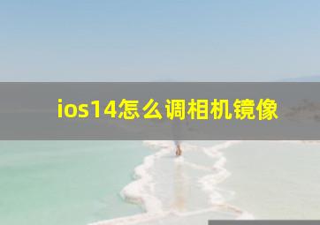 ios14怎么调相机镜像