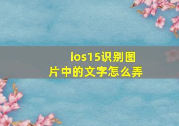 ios15识别图片中的文字怎么弄