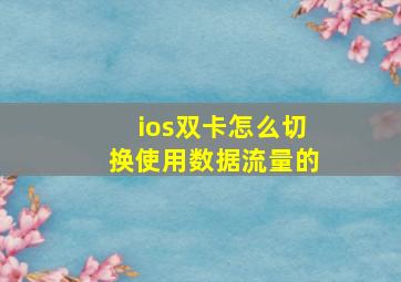 ios双卡怎么切换使用数据流量的