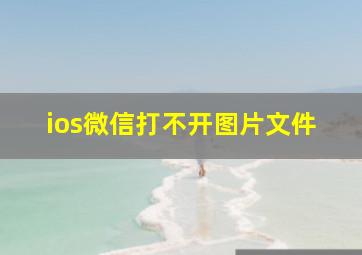 ios微信打不开图片文件