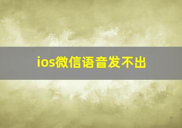 ios微信语音发不出