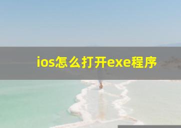 ios怎么打开exe程序