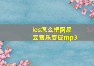 ios怎么把网易云音乐变成mp3