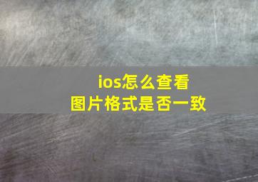 ios怎么查看图片格式是否一致