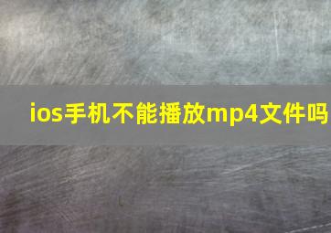 ios手机不能播放mp4文件吗