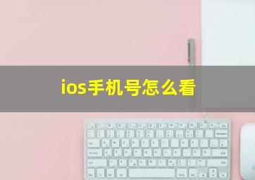 ios手机号怎么看