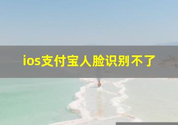 ios支付宝人脸识别不了