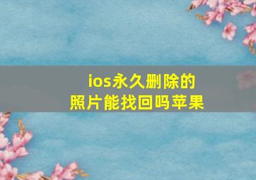 ios永久删除的照片能找回吗苹果