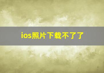 ios照片下载不了了