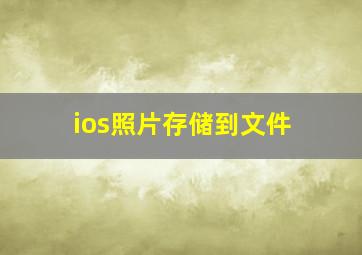 ios照片存储到文件