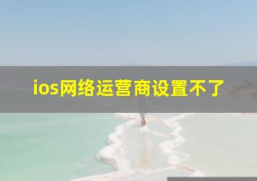 ios网络运营商设置不了